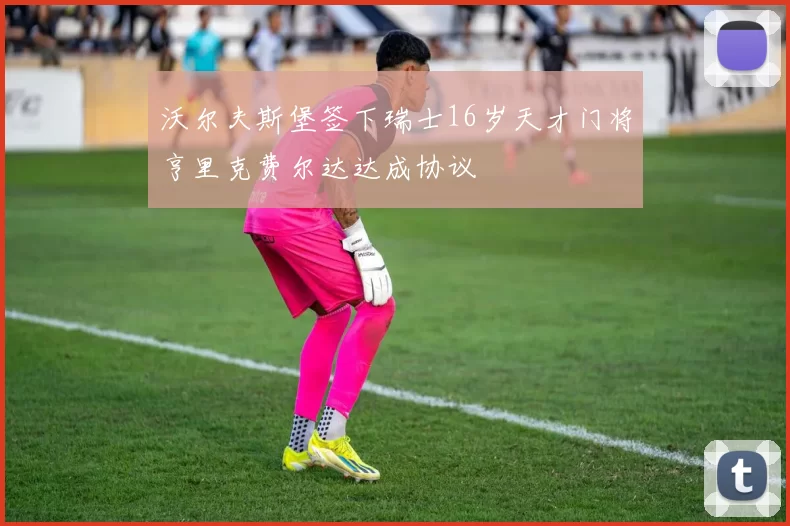 沃尔夫斯堡签下瑞士16岁天才门将亨里克费尔达达成协议