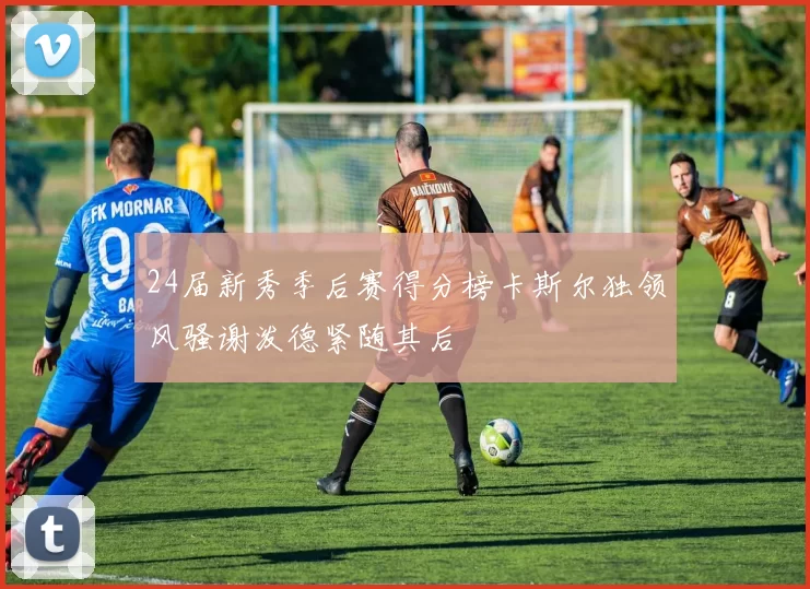 24届新秀季后赛得分榜卡斯尔独领风骚谢泼德紧随其后